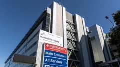 Nurses issued stop-work orders because of concerns about behaviour twice at Auckland City Hospital in the past year. Photo / Michael Craig