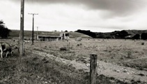 Editorial: Besieged farmers unfairly targeted