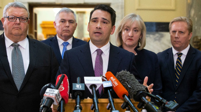 Heather du Plessis-Allan believes Simon Bridges' leaked expenses drama has made him look powerless. (Photo / Herald)