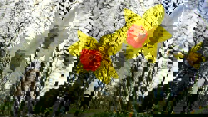 Photo / File