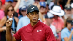 Tiger Woods. Photo / AP