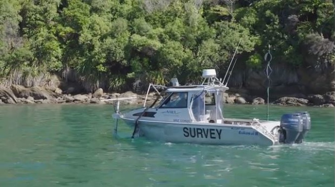 A century-old shipwreck has been discovered among the most complex seafloor survey ever undertaken in New Zealand. (NIWA)