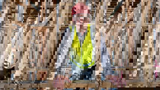 Housing Minister Phil Twyford says the council is too close to the vested interests, like Nimbys. Photo / Jason Oxenham