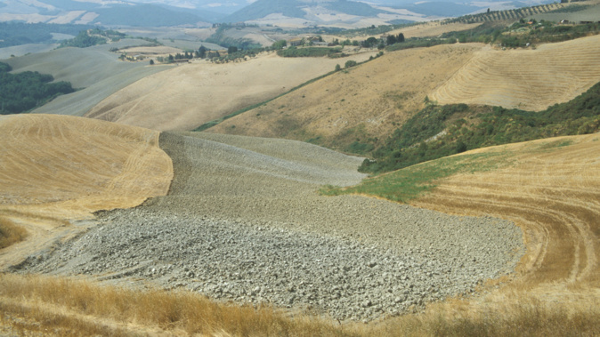 Recent rainfall has been welcomed across parts of NSW but it's not enough to give drought-stricken farmers the break they need. (Photo/ Getty)