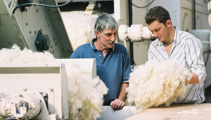 Spotlight on wool's future with industry in crisis