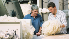 Pressures on the industry included meatless meat, wool-less sheep and consumer activism, Mullins said.