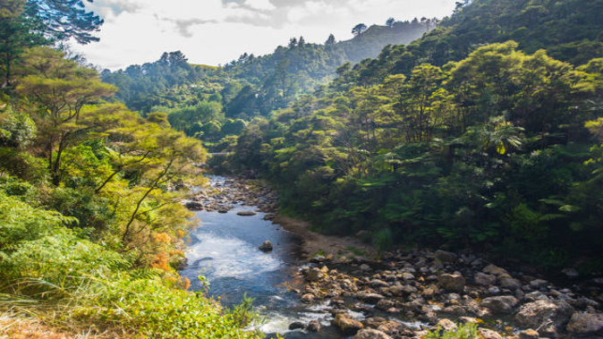 The Protect Karangahake action group will occupy part of a road in Karangahake Gorge today. (Photo: Getty) 