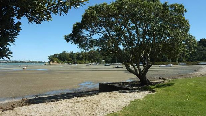 Auckland Council plans to allow freedom campers at some of our most popular reserves and beaches. (Photo / Herald)