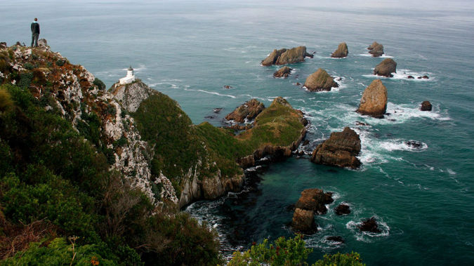 Curio Bay is a most unusual coastal setting, over 150 million years old, and distinctive for the fossilised tree stumps