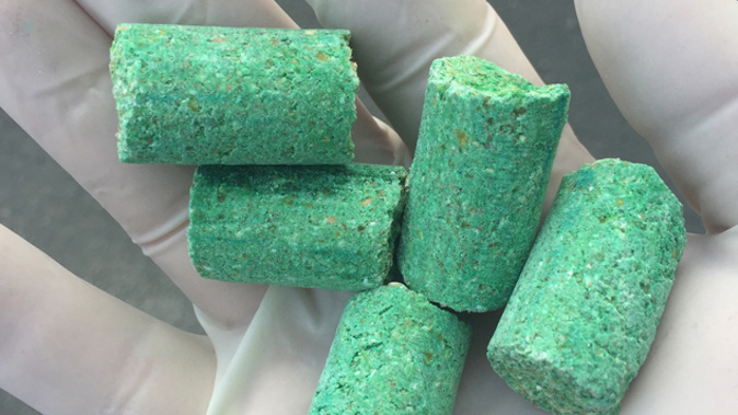 Protestors have been fighting to get the drop delayed. (Photo / Supplied)