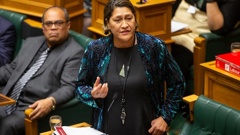 Interview with Meka Whaitiri after the Wairoa treaty settlement bill at Parliament.