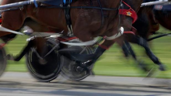 Widespread suppressions surround harness racing figures charged after a long-running police probe into alleged race-fixing. Photo / File