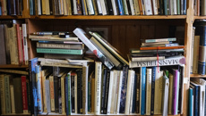 Whitcoulls Recommends: Mad Mabel and Perspective