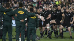 The All Blacks take on the Springbok tomorrow morning. Photo / Brett Phibbs