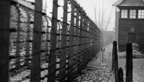 Holocaust survivor recounts harrowing experience in concentration camp