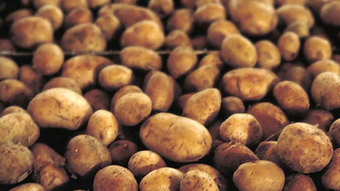 Two farms were affected last month. (Photo / File)