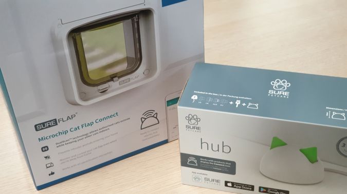 Getting Smart With Your Pets