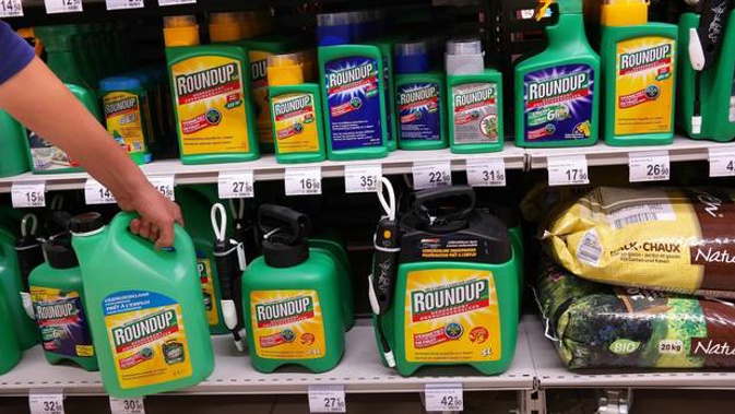 The EPA maintains that glyphosate - the active ingredient in Roundup - remains safe when used following the instructions on its label. (Photo / File)