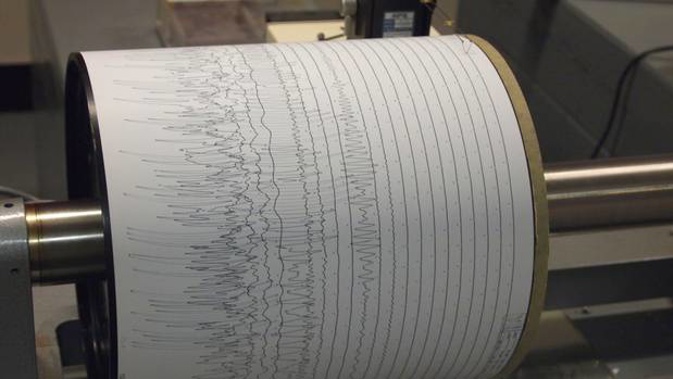Quakes have been recorded in the Bay of Plenty this morning. Photo / File