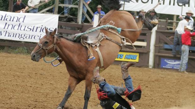 SAFE has renewed their calls for rodeos to be banned. (Photo / File)