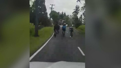 Dangerous cyclists caught crossing centre line, taking up whole rural roads. Video supplied / Nikki Bessem