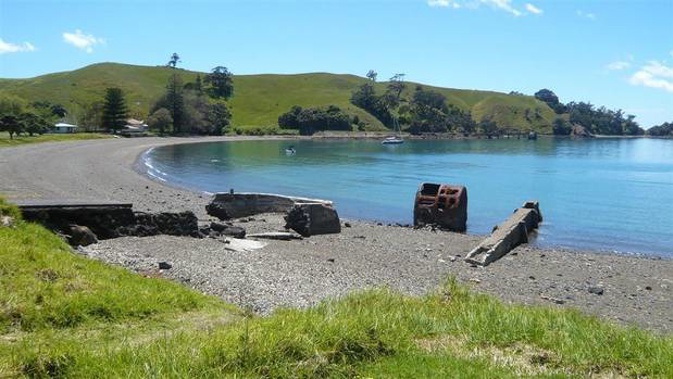 Dion Hodder, 16, fell ill during a St John Youth camp on Motutapu Island. (Photo / file)