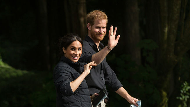 "Media coverage of these public walkabouts tends to focus on the hysteria." (Photo / NZ Herald)