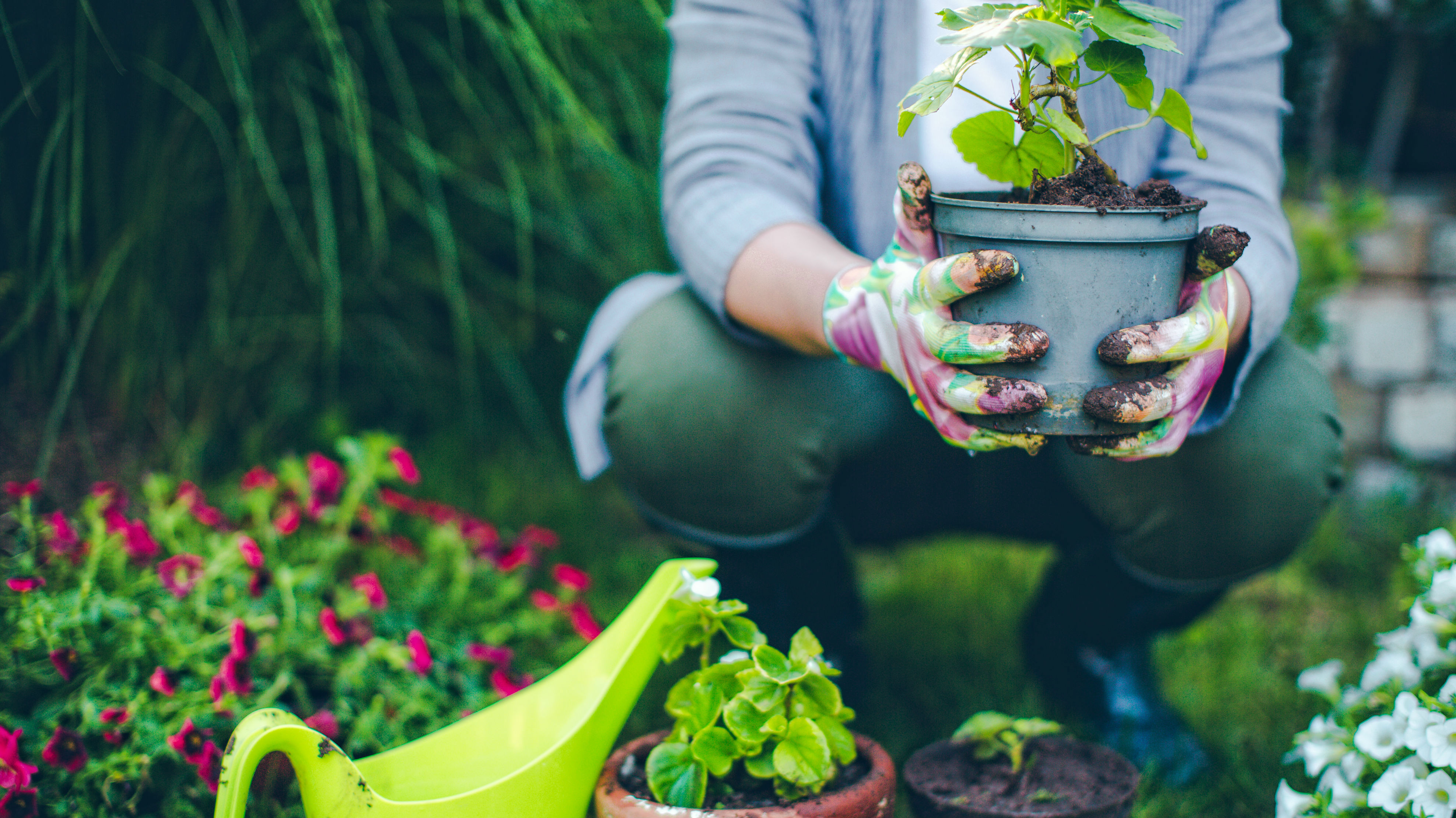 Ruud Kleinpaste: It's time to start gardening again