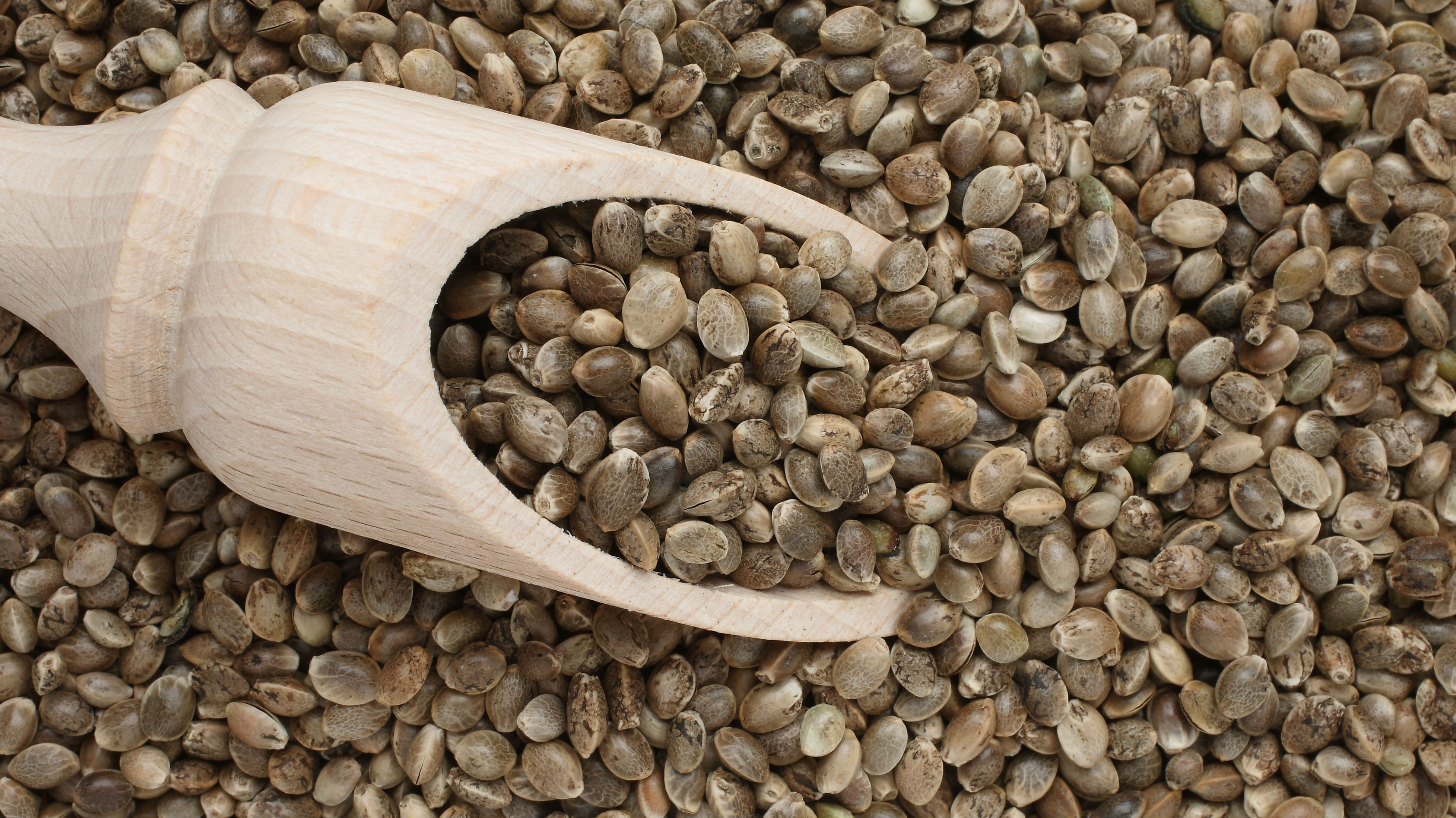 Hemp seeds. (Photo / Getty)