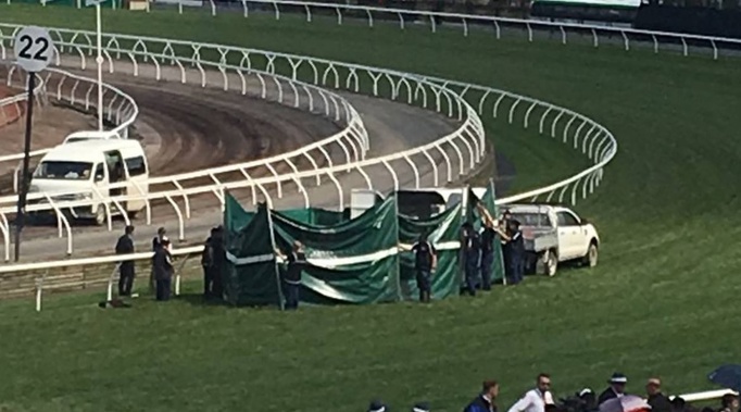 The Cliffsofmoher has been put down after sustaining an injury. (Photo / Supplied)