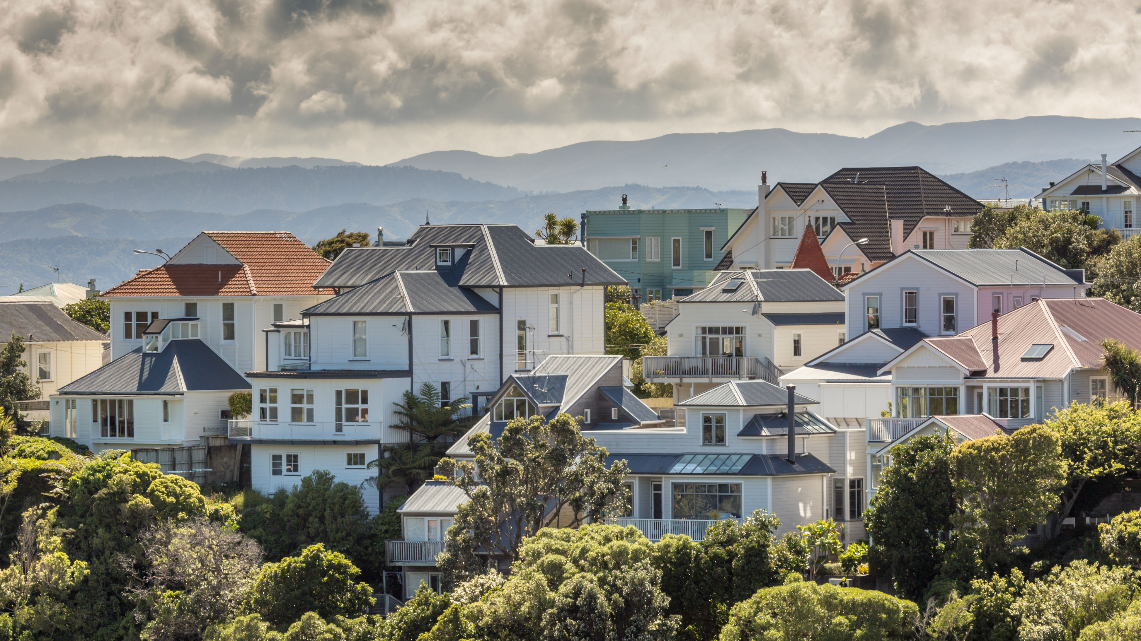 Cooking the Books: Can buying with a friend get you a house?