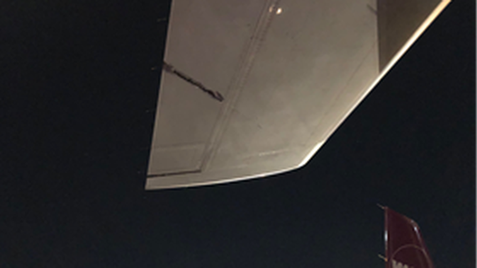 Damage to the horizontal stabalizer of the Air NZ plane. (Photo / Supplied)