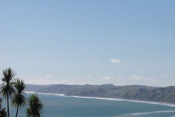 Papanui Point in Raglan is known for being a dangerous fishing spot. (Photo / NZ Herald)