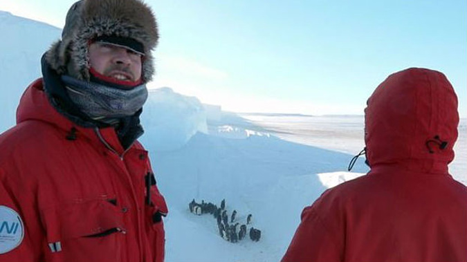 The crew of Dynasties made the rare decision to interfere with their subjects. (Photo / BBC)