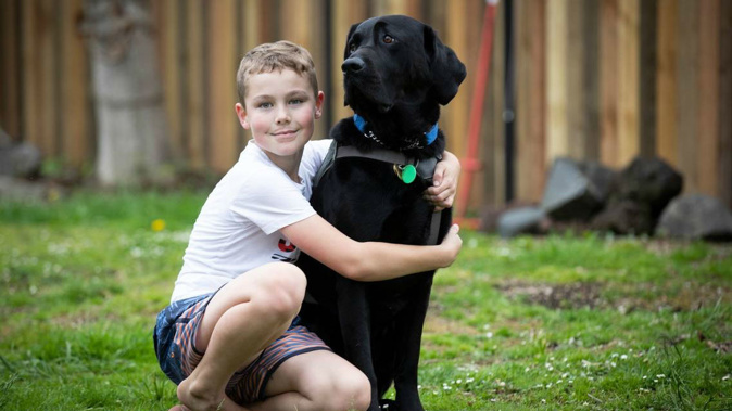 Noah Wheeler and his family were turned away because of the presence of Nitro. (Photo / NZ Herald)