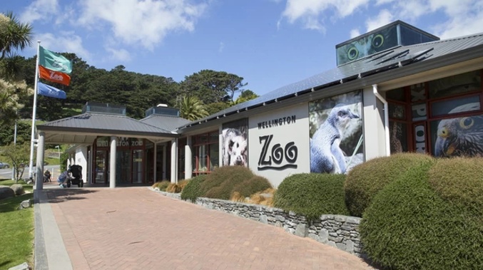 People now have to transfer in order to get to Wellington Zoo. (Photo / NZ Herald)