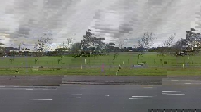 Eastdale Reserve in Avondale is among hundreds of parks in Auckland being considered for having a Māori name replace, or added to, its current name. Photo / Google