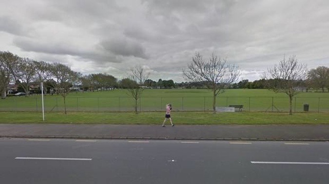 Eastdale Reserve in Avondale is among hundreds of parks in Auckland being considered for having a Māori name replace, or added to, its current name. Photo / Google