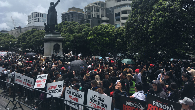 A huge crowd descended on Parliament today. (Photo / Getty)