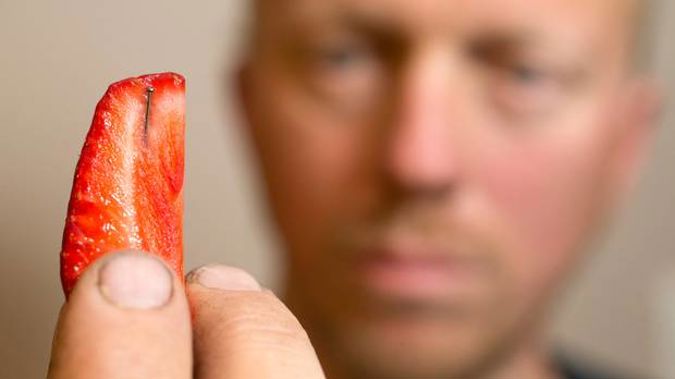 Tauranga man Michael Rayner pictured with the strawberry he brought from a local supermarket only to find it contained a pin. Photo / Alan Gibson
