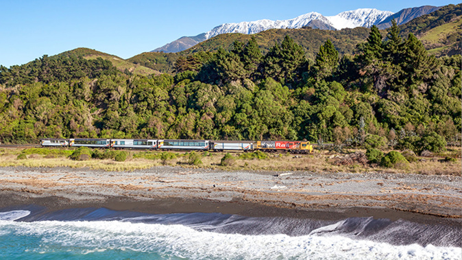 One hundred and twenty kilometres of the Kaikoura Coast was shunted up out of the ocean by between one to six metres.
