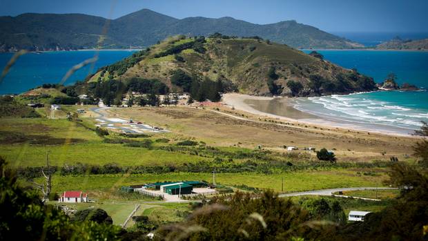 A man was attacked by a shark, believed to be a mako, at Matauri Bay. Photo / File