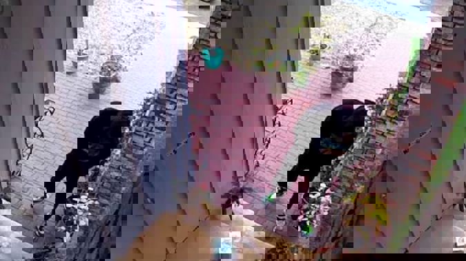 Mark Rober's muse was a package thief. (Photo / YouTube)