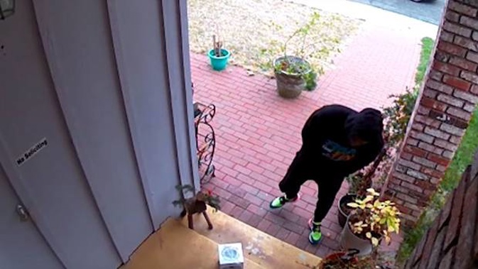 Mark Rober's muse was a package thief. (Photo / YouTube)