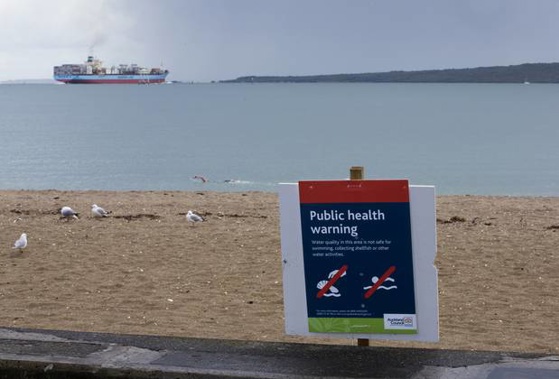 Eight beaches in West Auckland and two in central Auckland have been ruled out as no-swim zones.. Photo / Greg Bowker