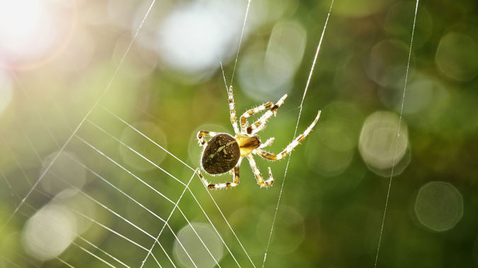 Neighbours were concerned that he had committed a crime. (Photo / Getty)