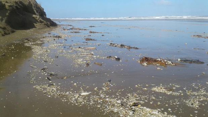 90 Mile Beach is strewn with rubbish in this picture, including small pieces of plastic. (Photo / Supplied)