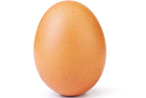 The egg has cooked up a storm. (Photo / Instagram)