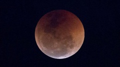 A blood moon lunar eclipse was visible last July. (Photo / AP)