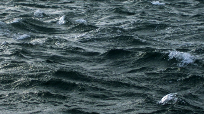 The passenger was on a cruise ship that visited New Zealand and is heading to Melbourne. (Photo / SXC)